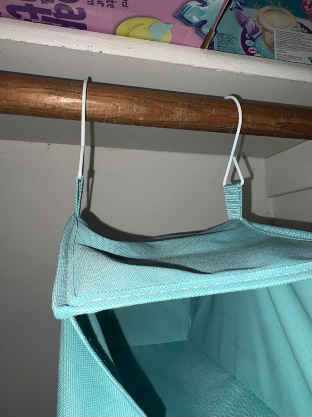 Teal Hanging Closet/Shoe Organizer - Vertical 10-Shelf Storage